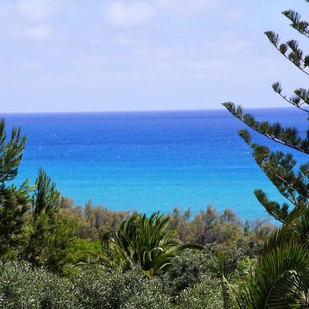 Porto Santo - Pedras Pretas Beach House Eksteriør billede